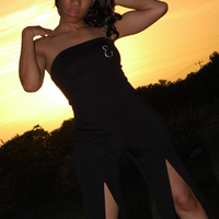 lady rho project