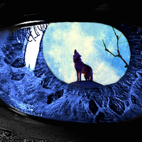 Nothing Bad: A Werewolf Rock Musical