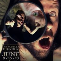 Pigeon Man Apocalypse