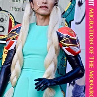 Do You: Migration of The Monarchs 