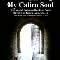My Calico Soul