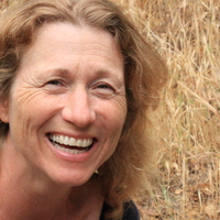 Wild At Hart Workshop