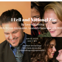 If I Fell and National Zoo