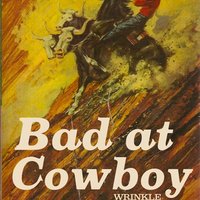 Bad Cowboy